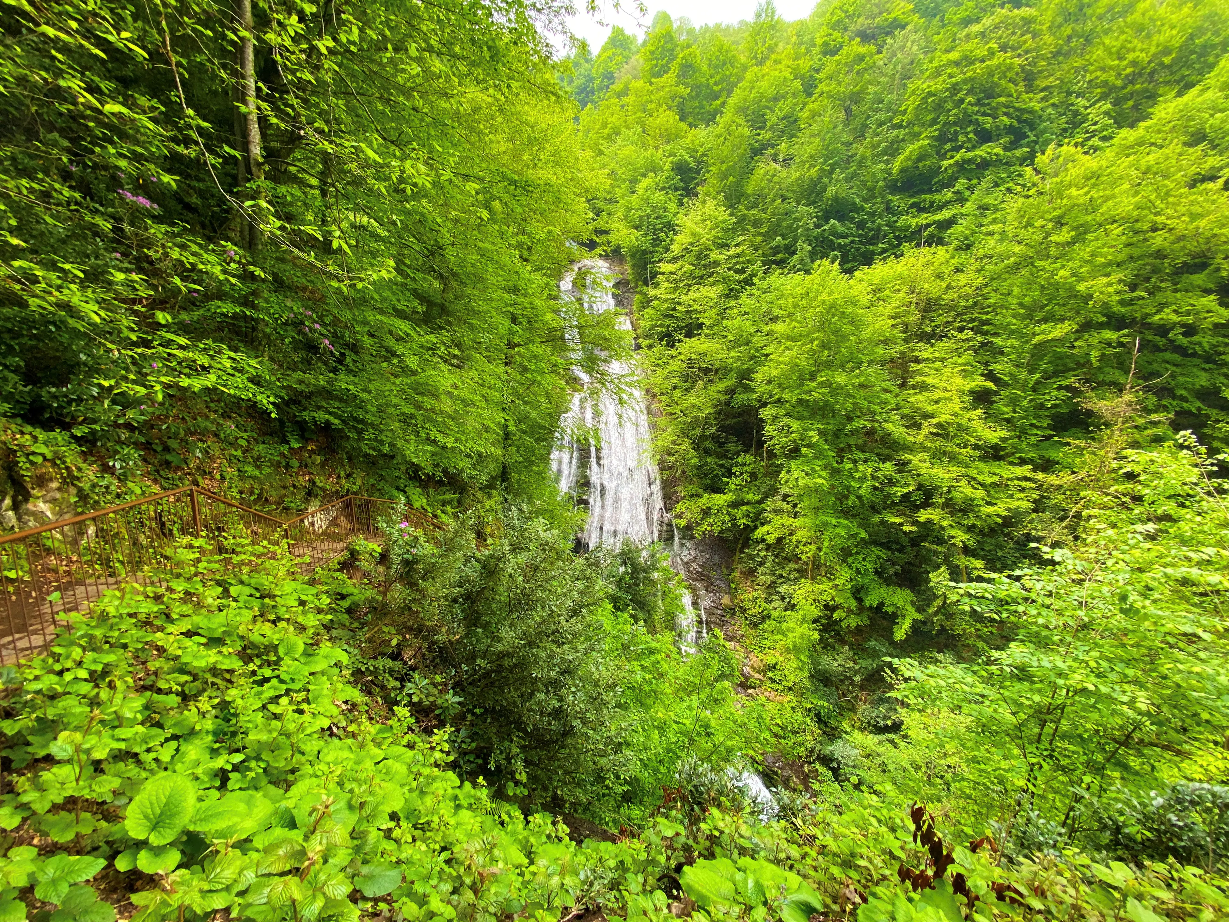 Düzce Şelaleleri Turu