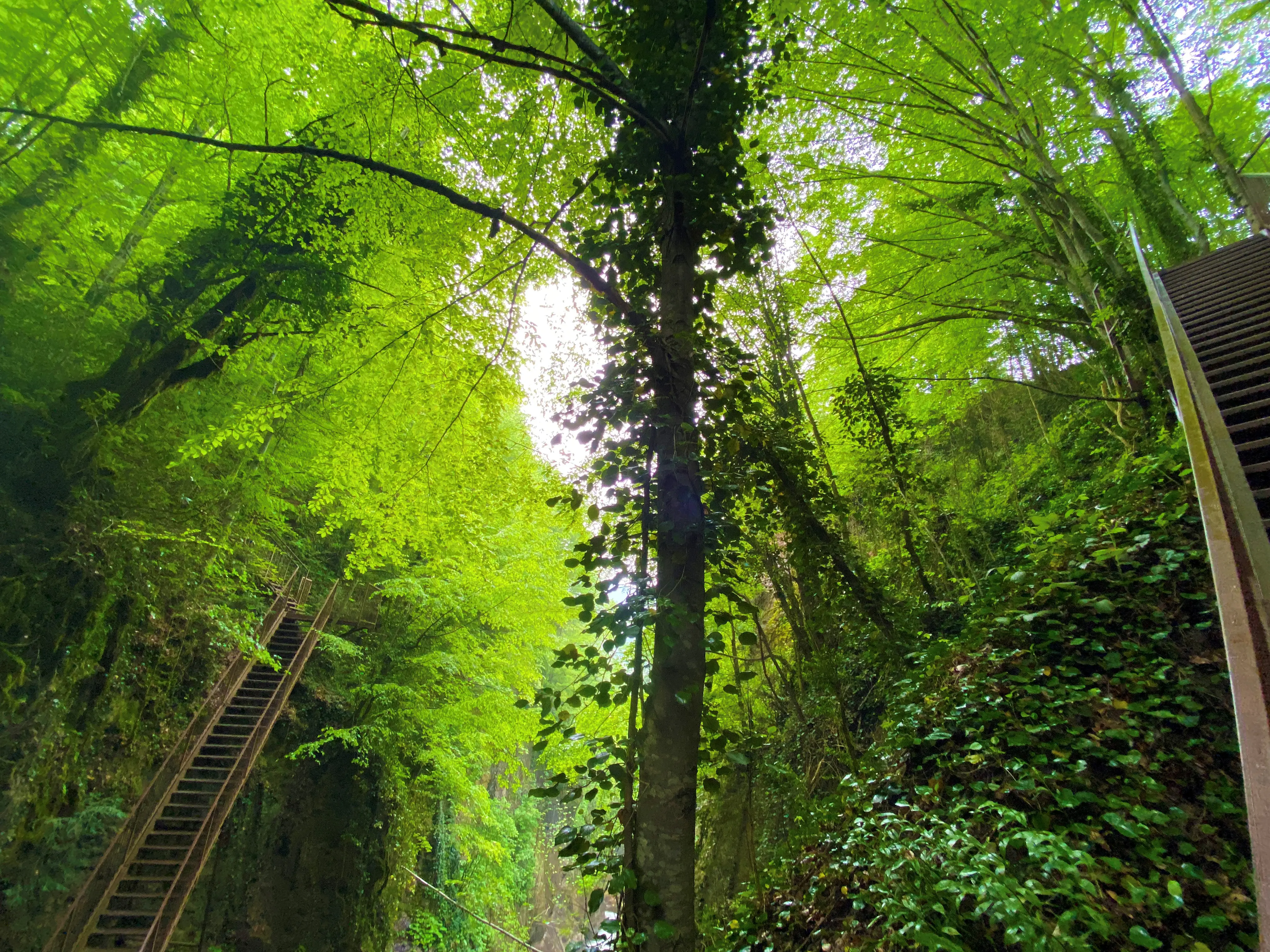 Düzce Şelaleleri Turu