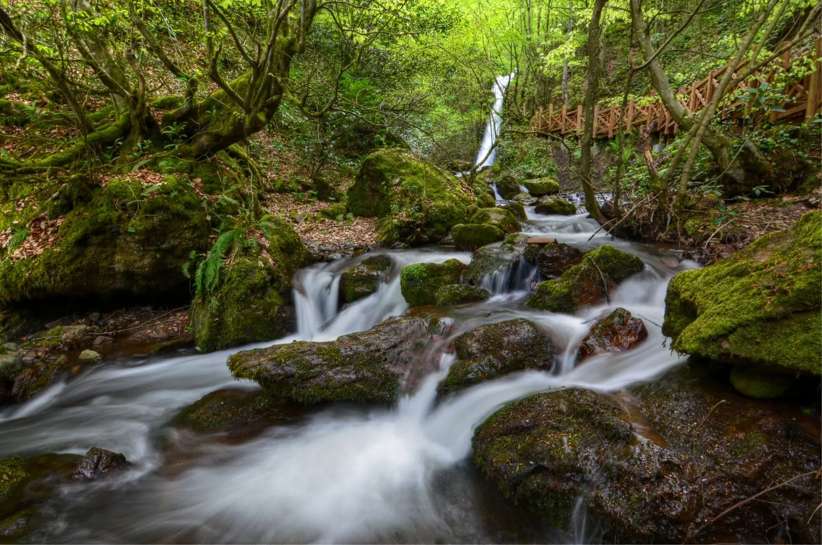 Düzce Şelaleleri Turu