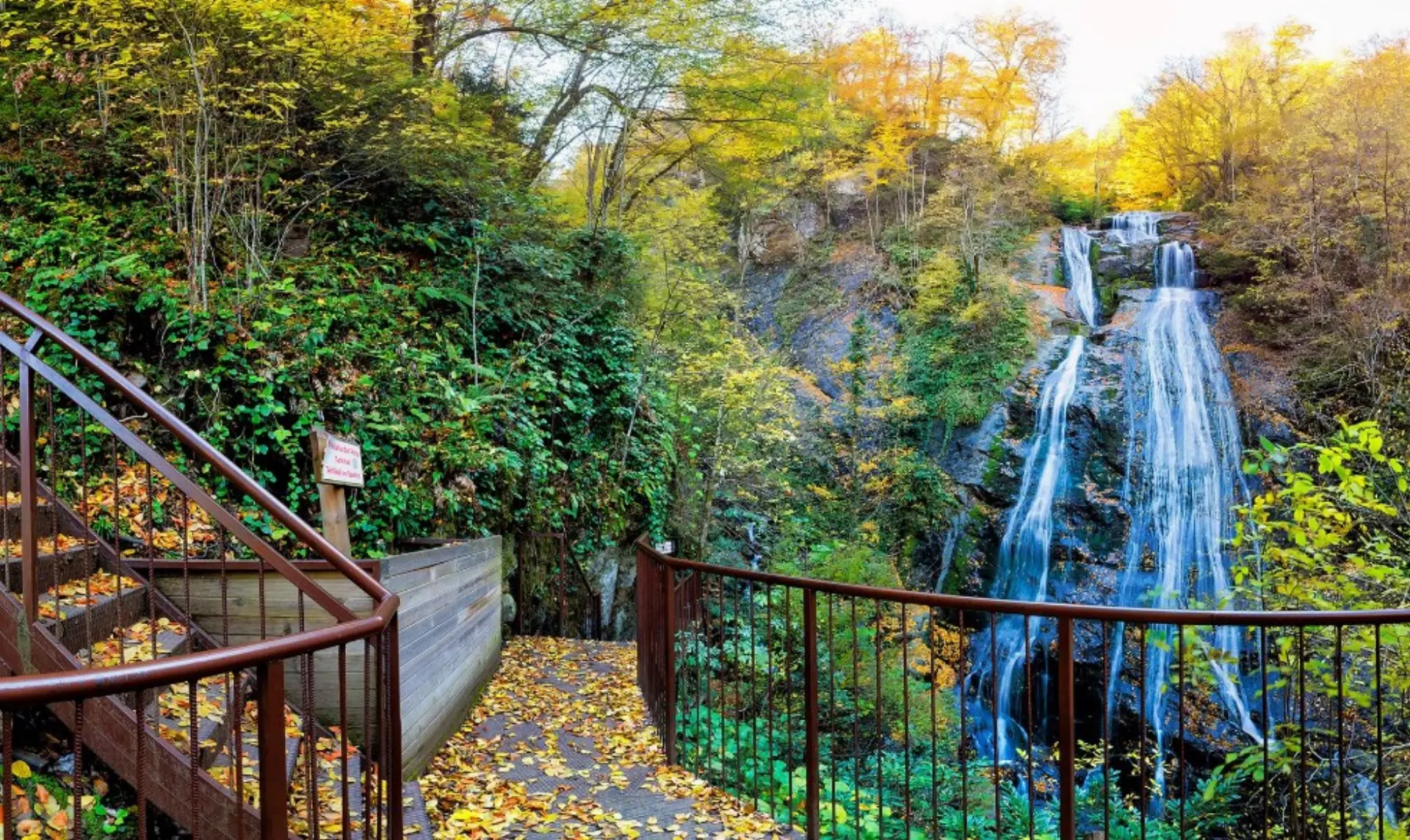 Düzce Şelaleleri Turu