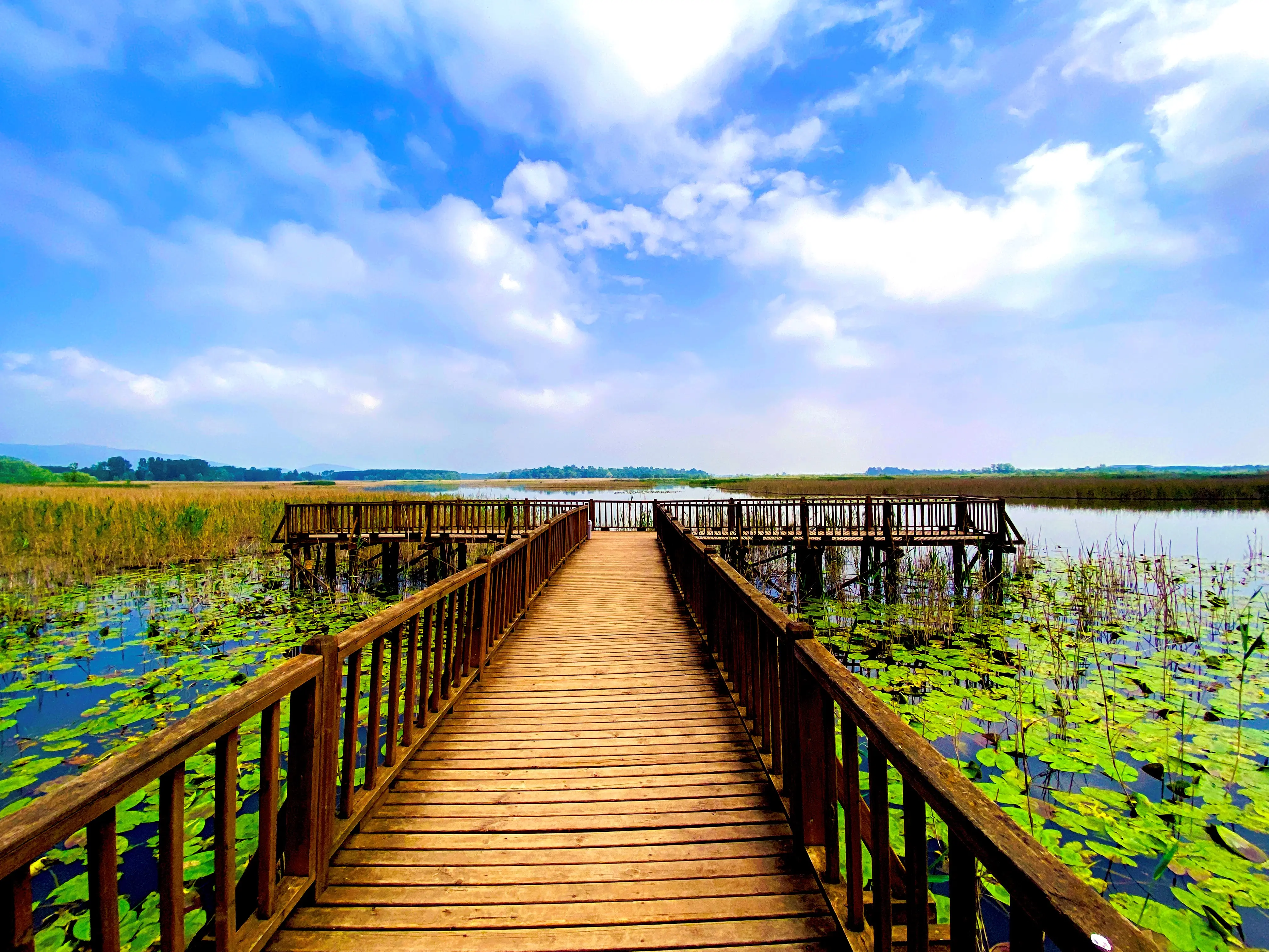 Düzce Şelaleleri Turu