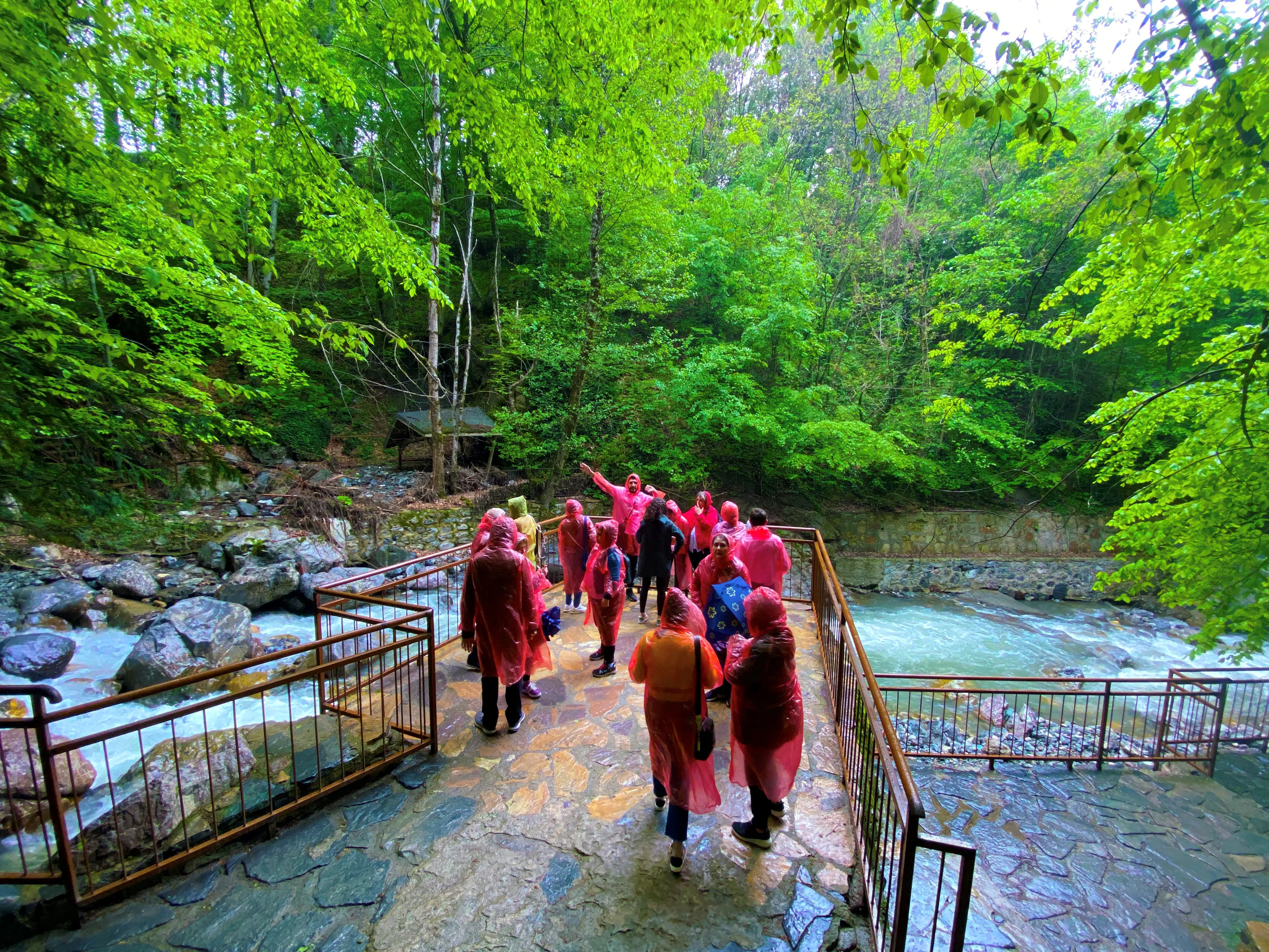 Düzce Şelaleleri Turu