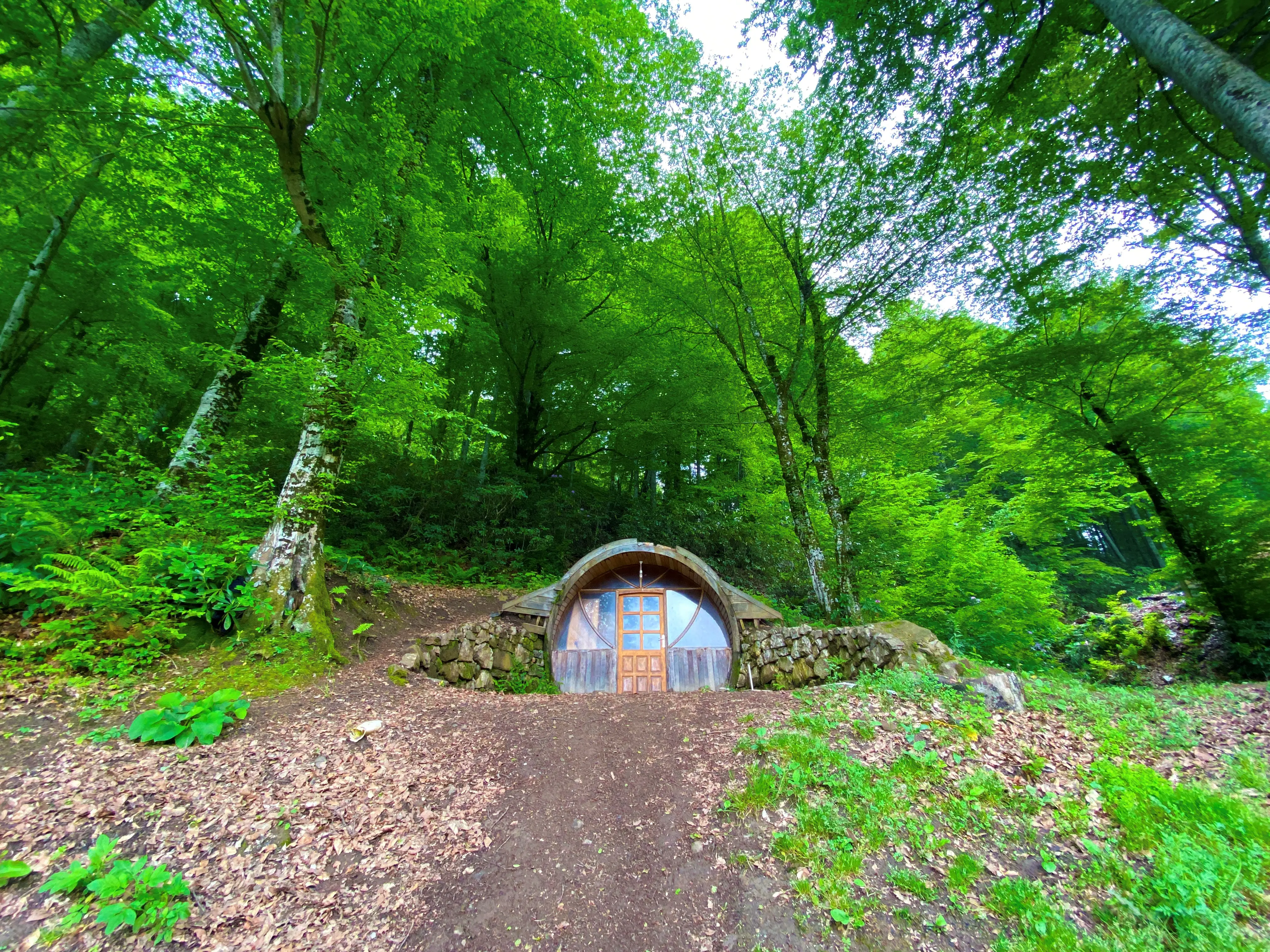 Düzce Şelaleleri Turu