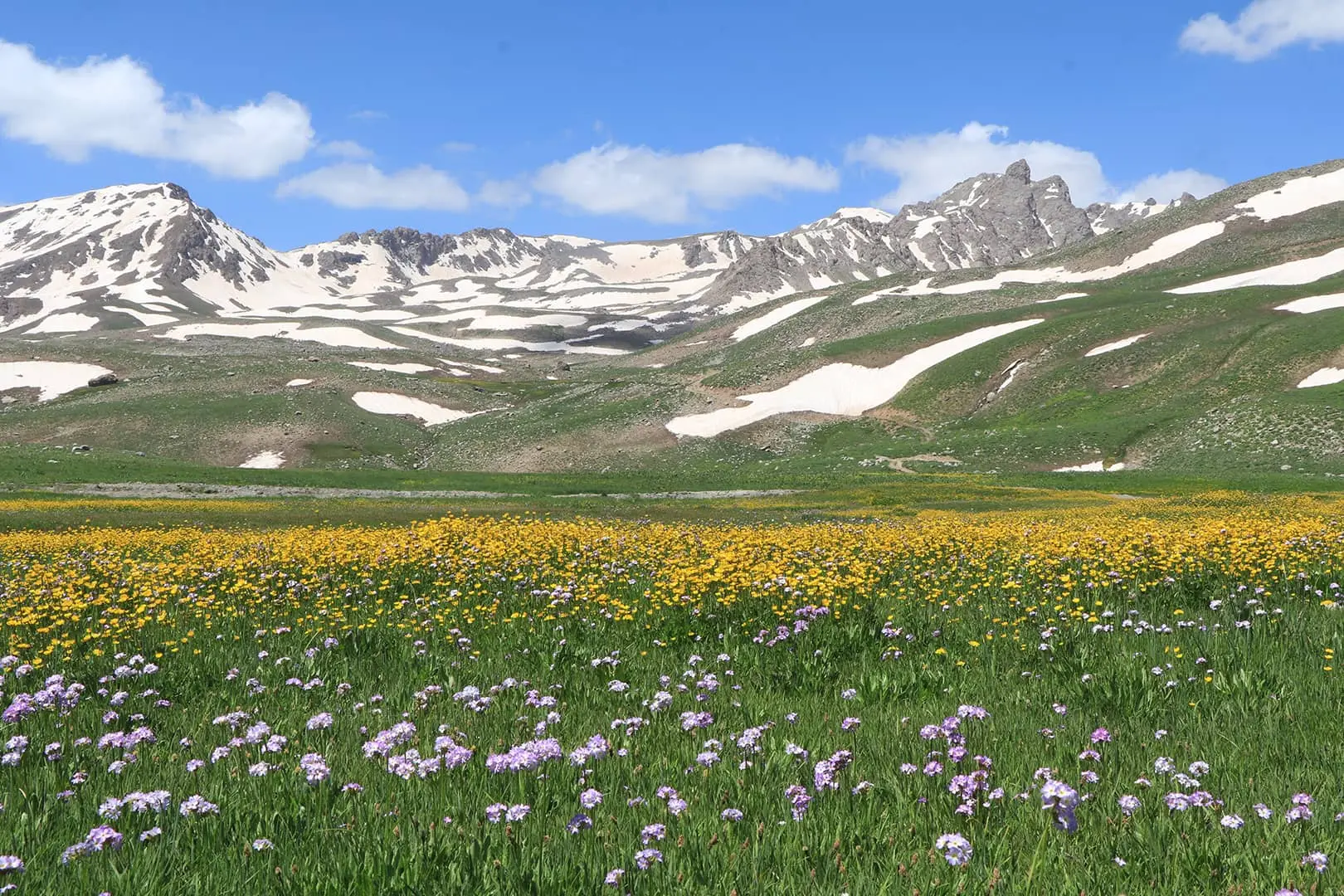 Hakkâri - Şırnak - Cizre Turu