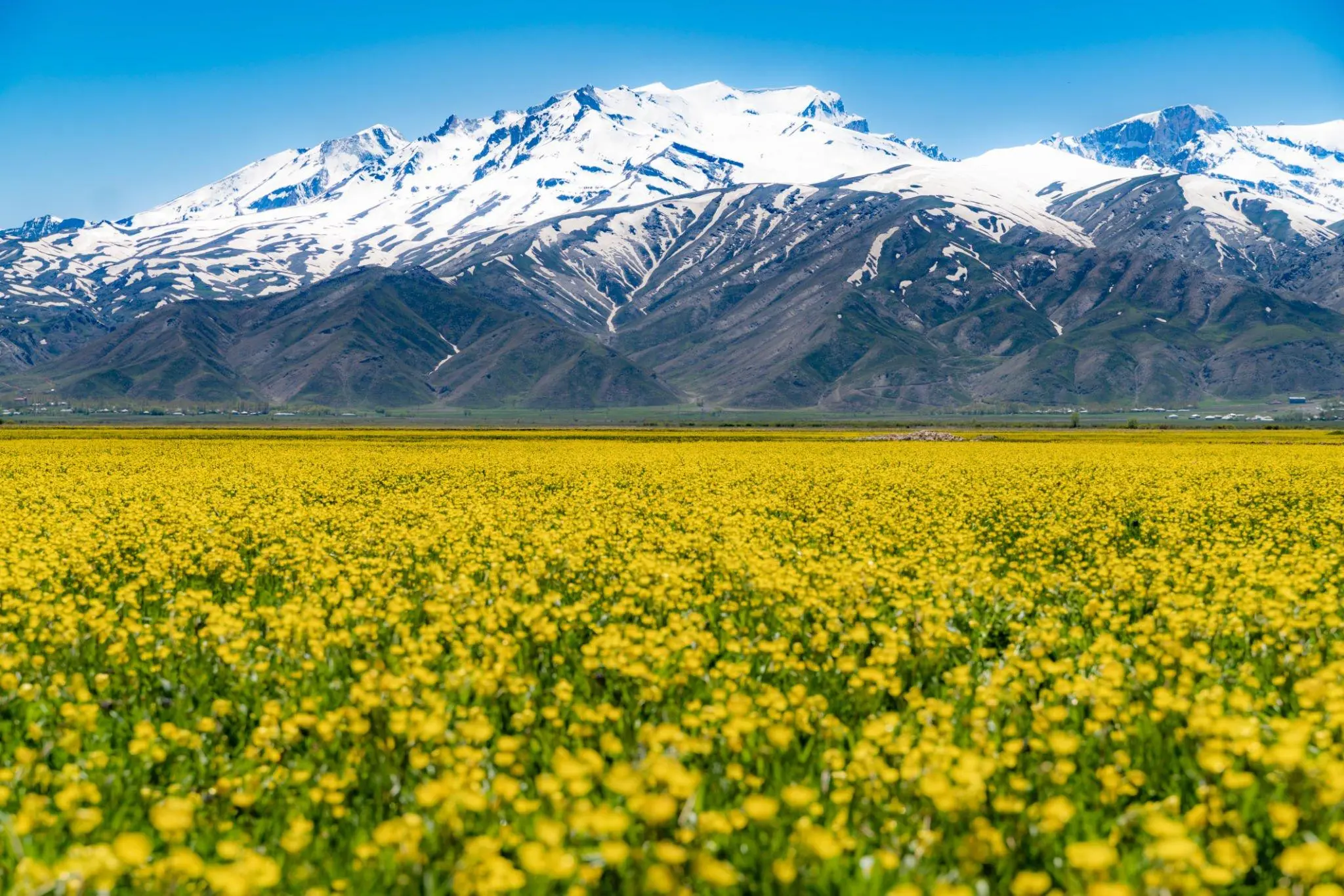 Hakkâri - Şırnak - Cizre Turu