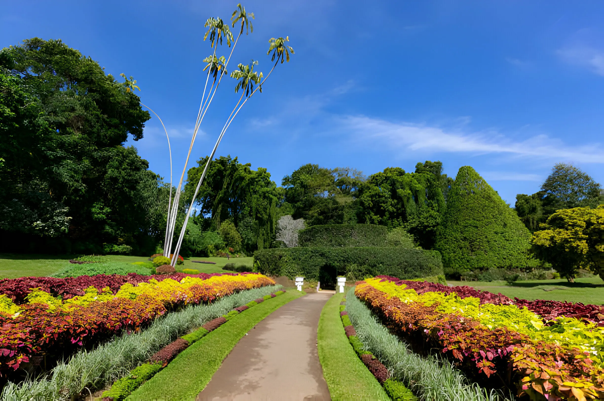 Sri Lanka Turu
