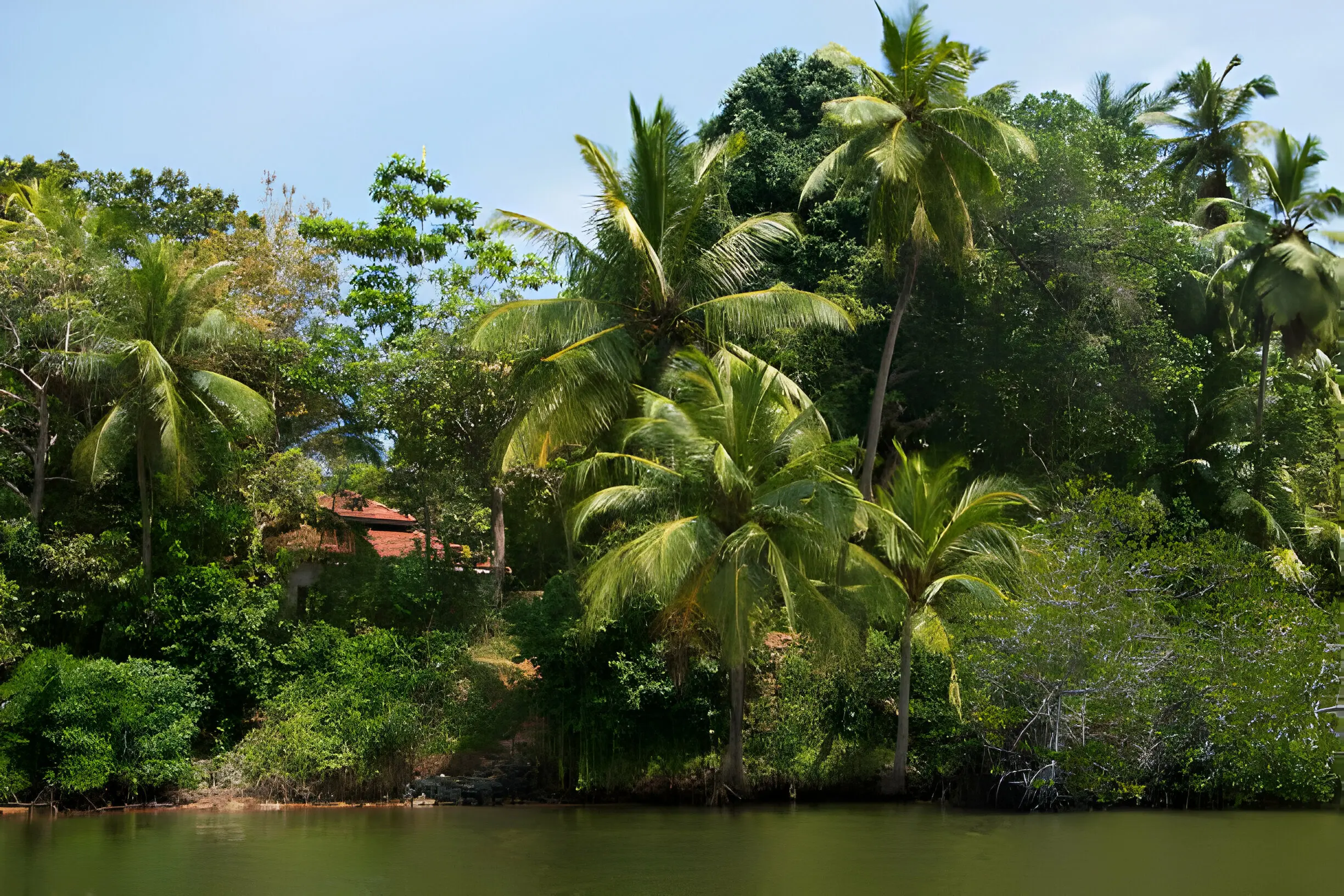 Sri Lanka Turu