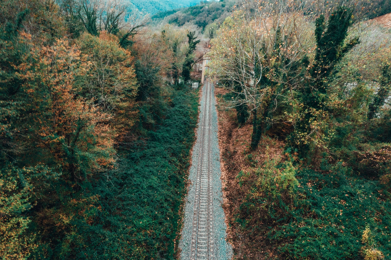Turistik Karaelmas Ekspresi Turu