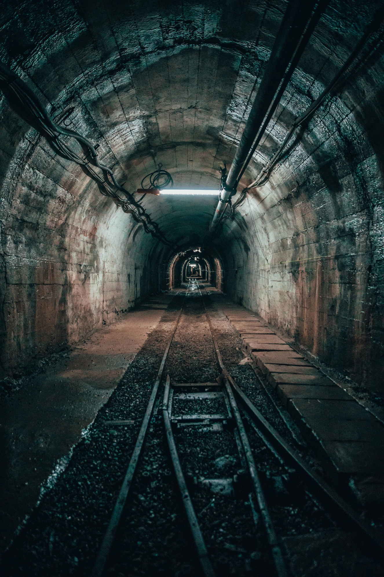 Turistik Karaelmas Ekspresi Turu