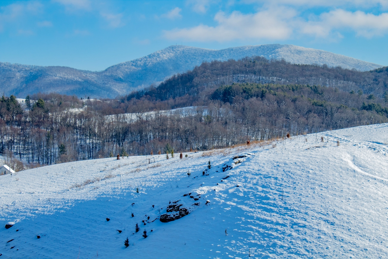İstanbul Çıkışlı Bakuriani & Tiflis Kış Keyfi Turu