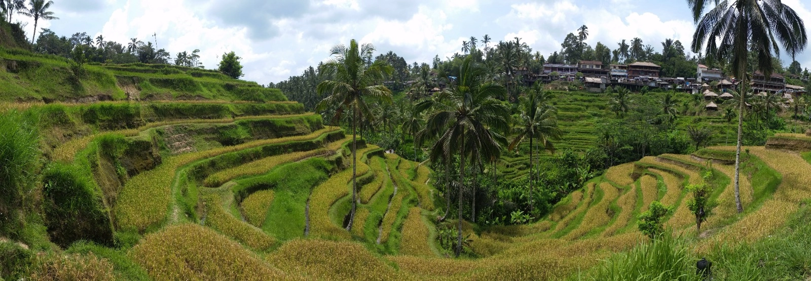 Ankara Çıkışlı Bali & Ubud Turu