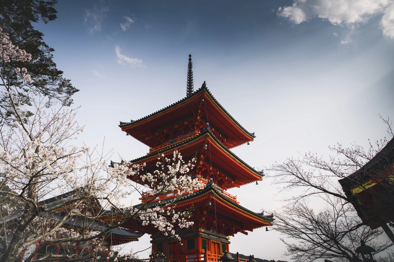 Ankara Çıkışlı Japonya Mistik Rotalar Turu