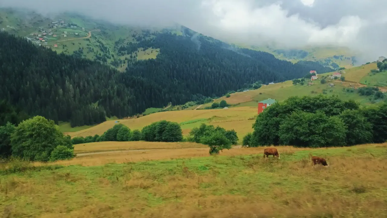 Uçaklı Doğu Karadeniz & Batum Turu