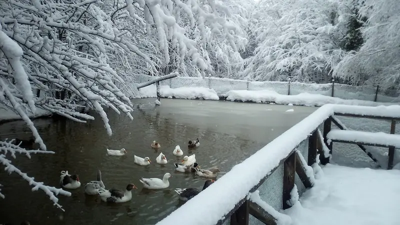 Bolu Turu ( Von Resort Abant Hotel )