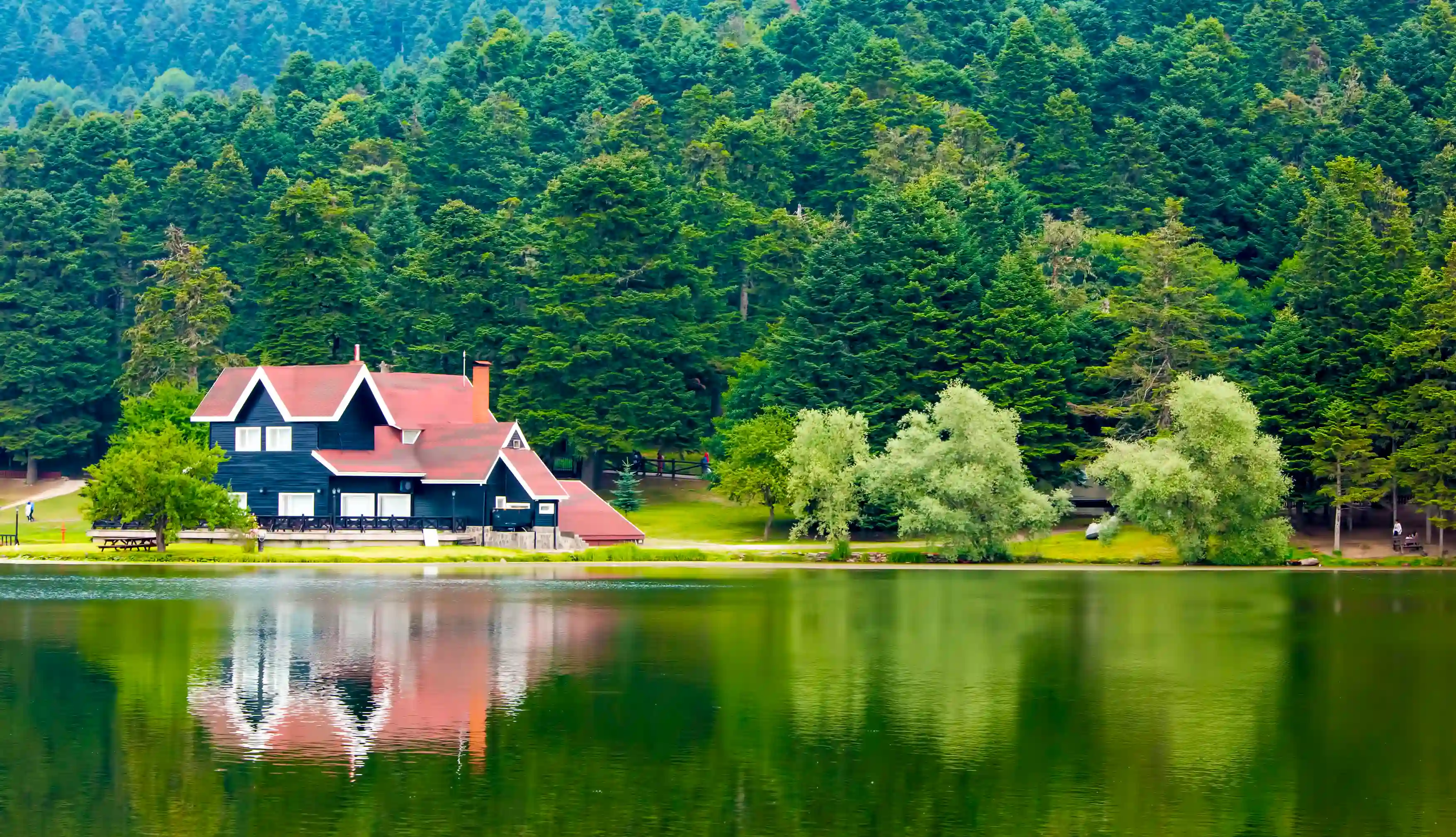 Doğayla Baş Başa - Abant & Gölcük Turu