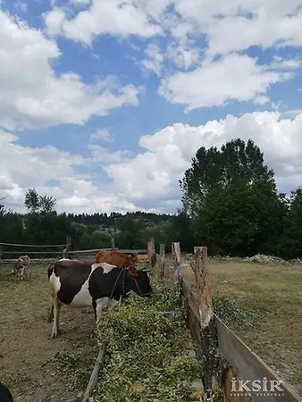 Kastamonu Daday Turu 23 Nisan Şenliği