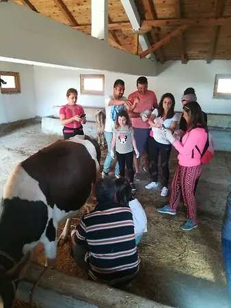 Kastamonu Daday Turu 23 Nisan Şenliği