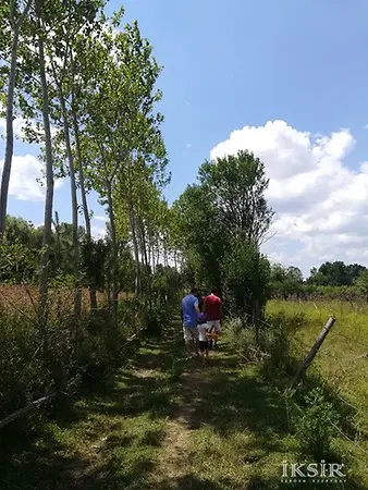 Kastamonu Daday Turu 23 Nisan Şenliği