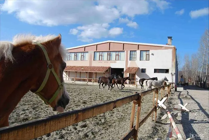 Kastamonu Daday Turu 23 Nisan Şenliği