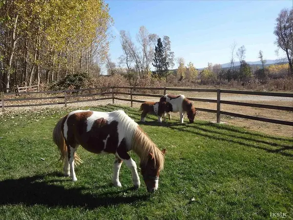 Kastamonu Daday Turu 23 Nisan Şenliği