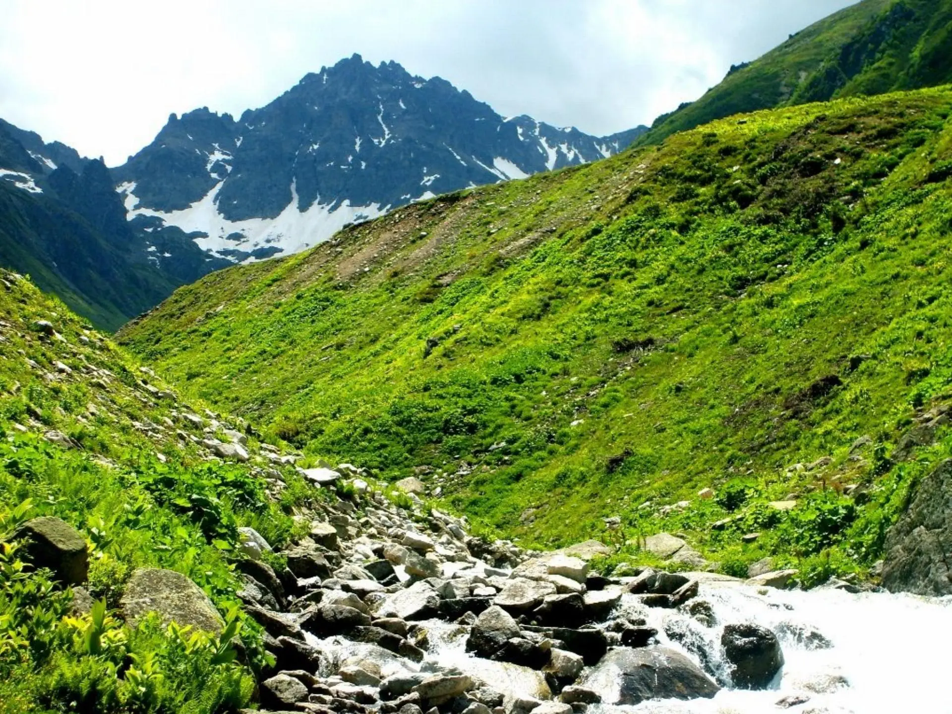 Rize Çamlıhemşin Yaylalar Turu