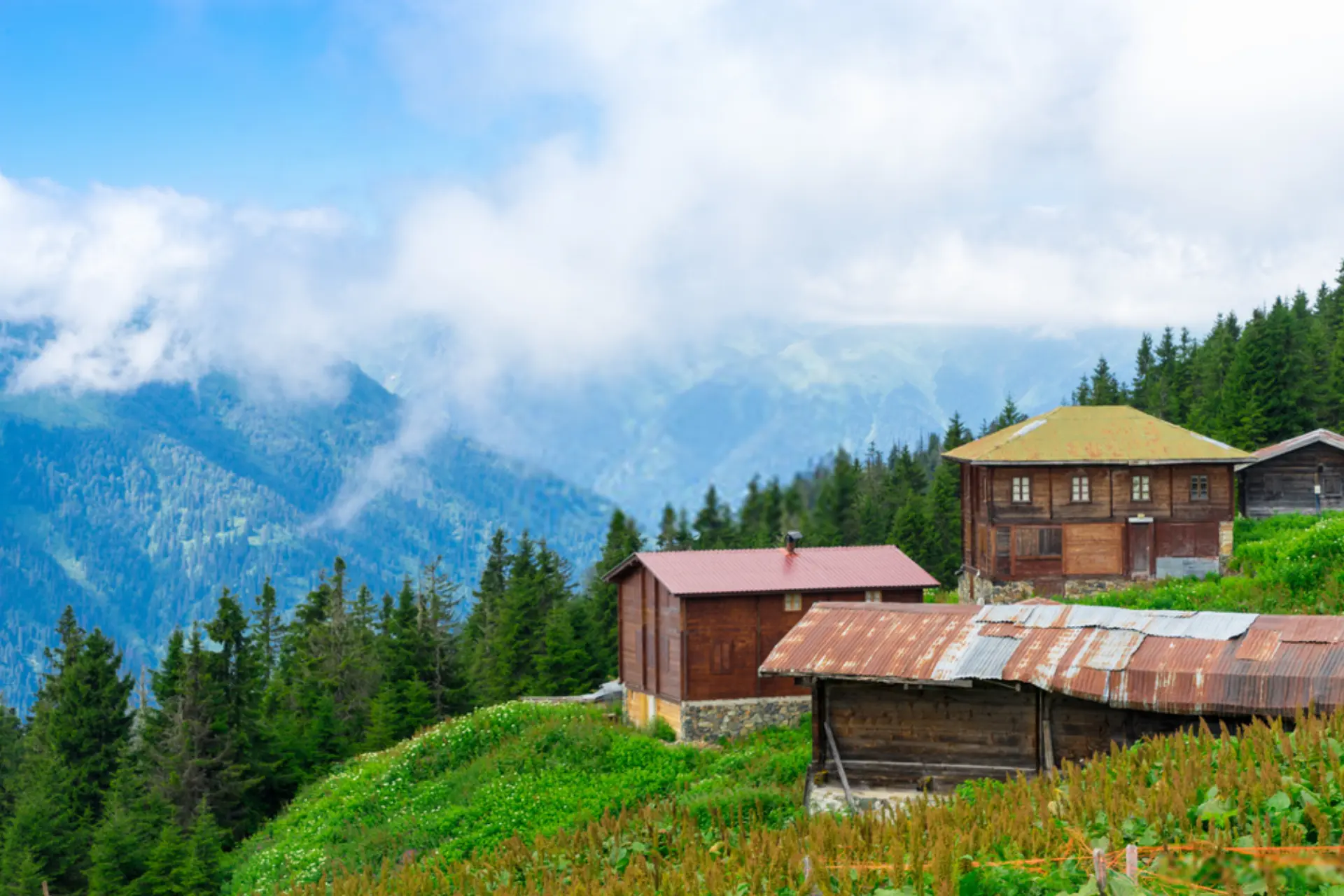 Rize Çamlıhemşin Yaylalar Turu