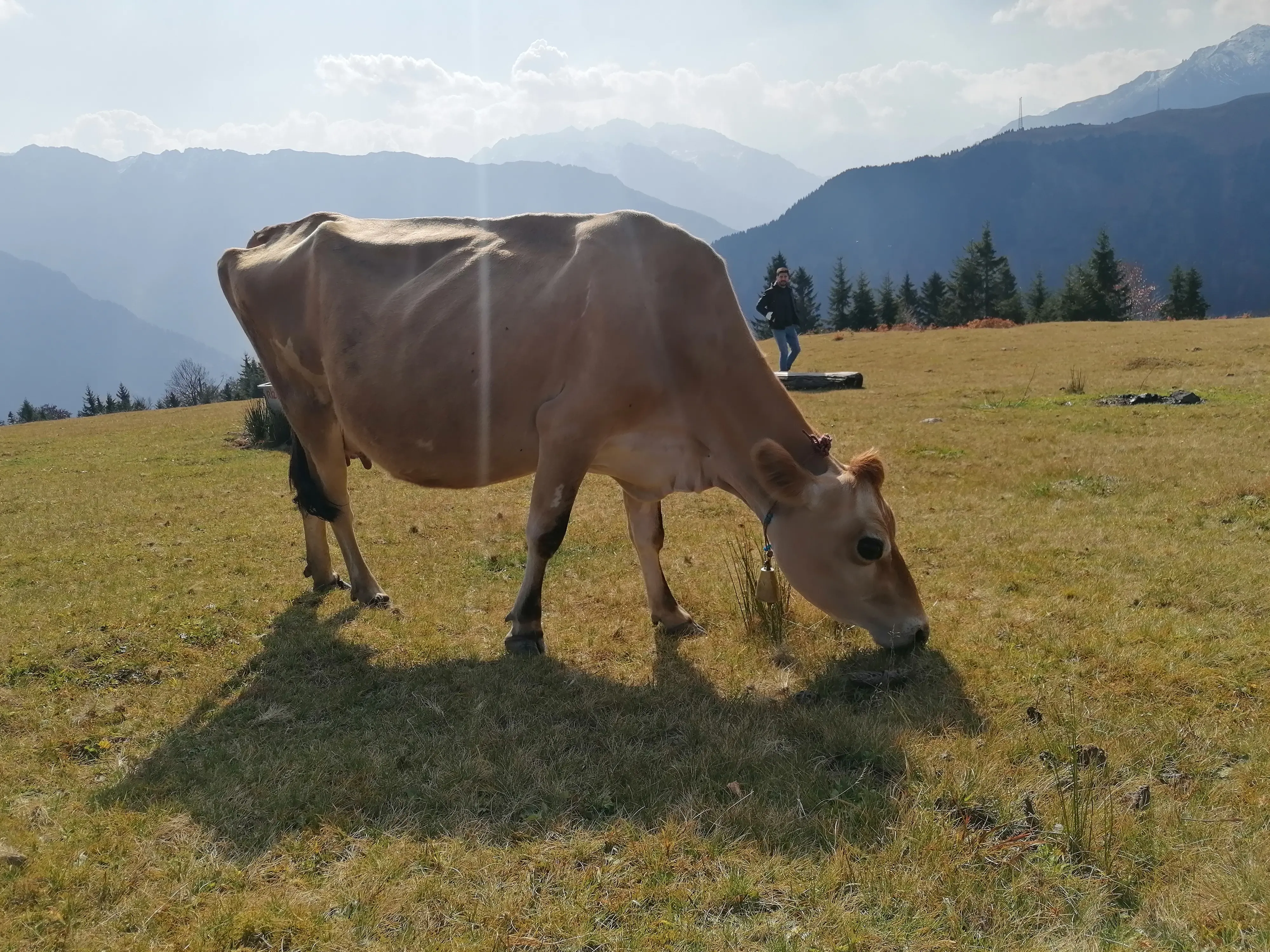 Rize Çamlıhemşin Yaylalar Turu