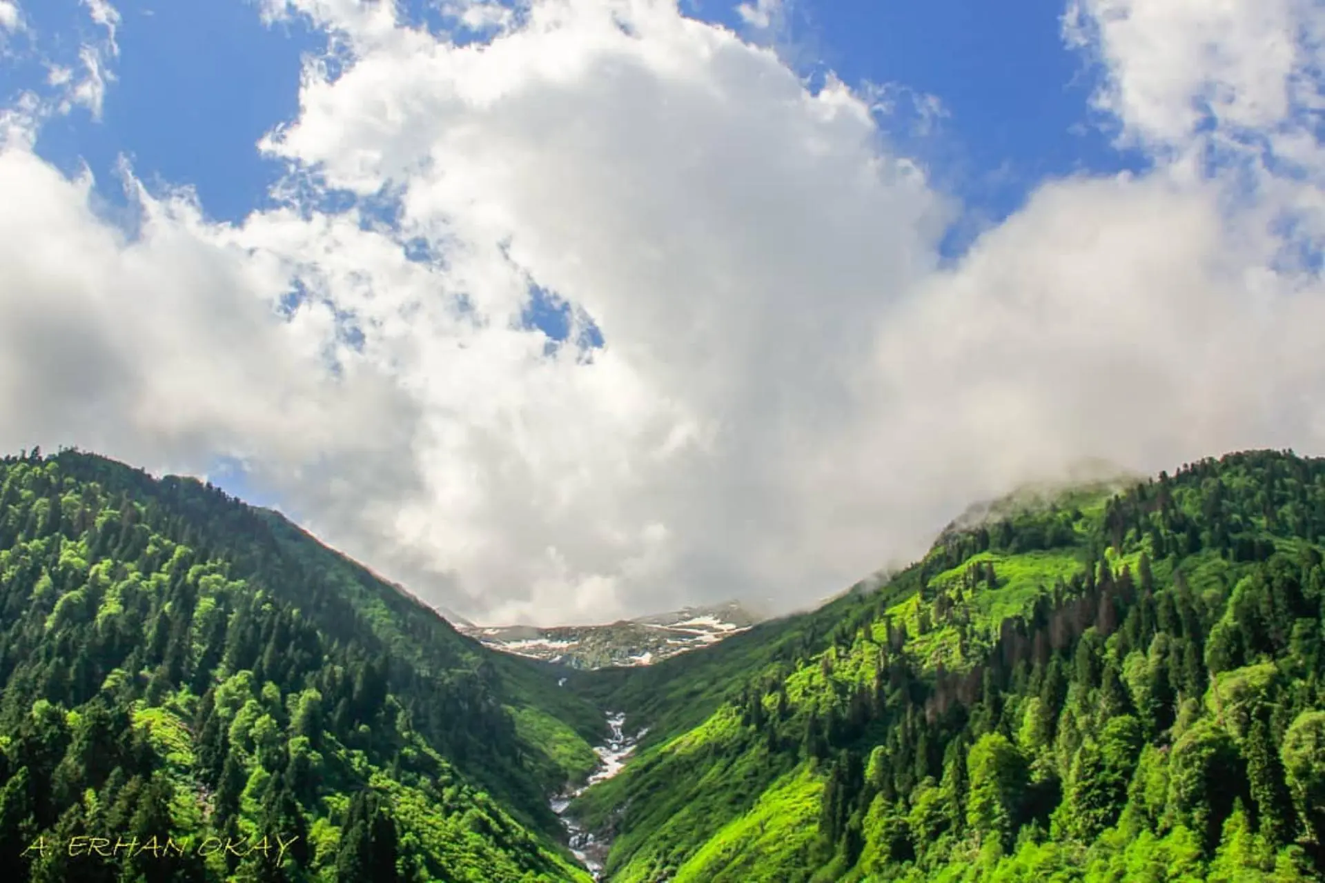 Rize Çamlıhemşin Yaylalar Turu
