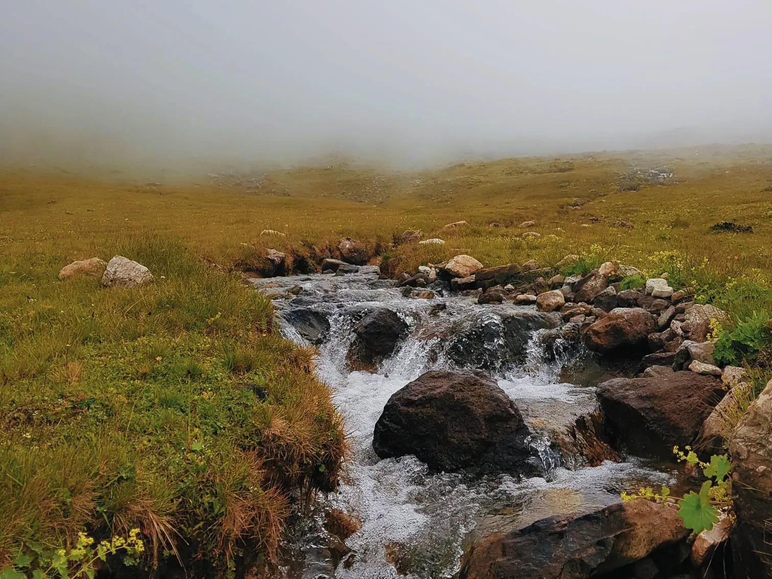 Karadeniz Yayla Turu