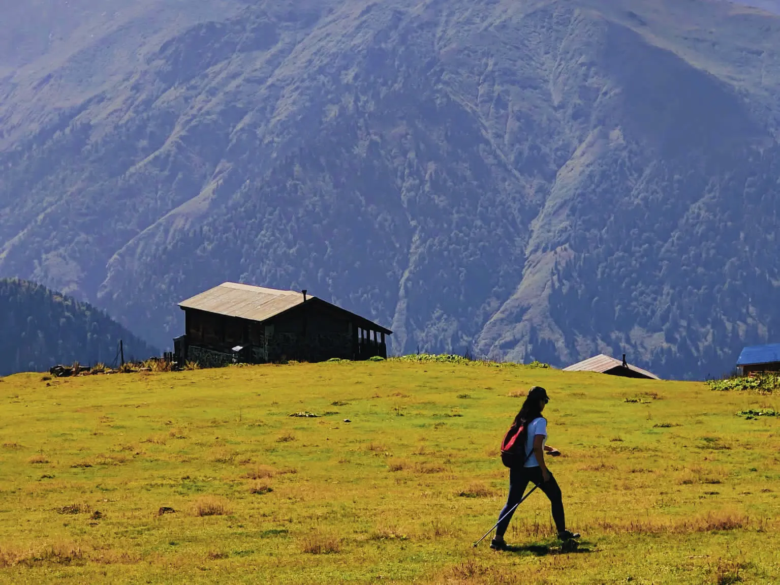 Karadeniz Yayla Turu