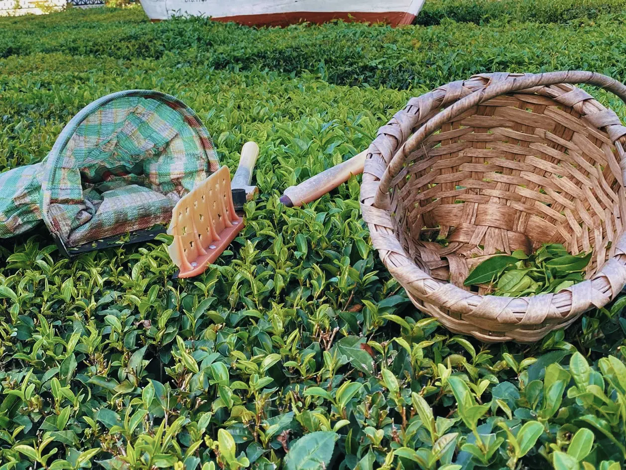 Karadeniz Yayla Turu