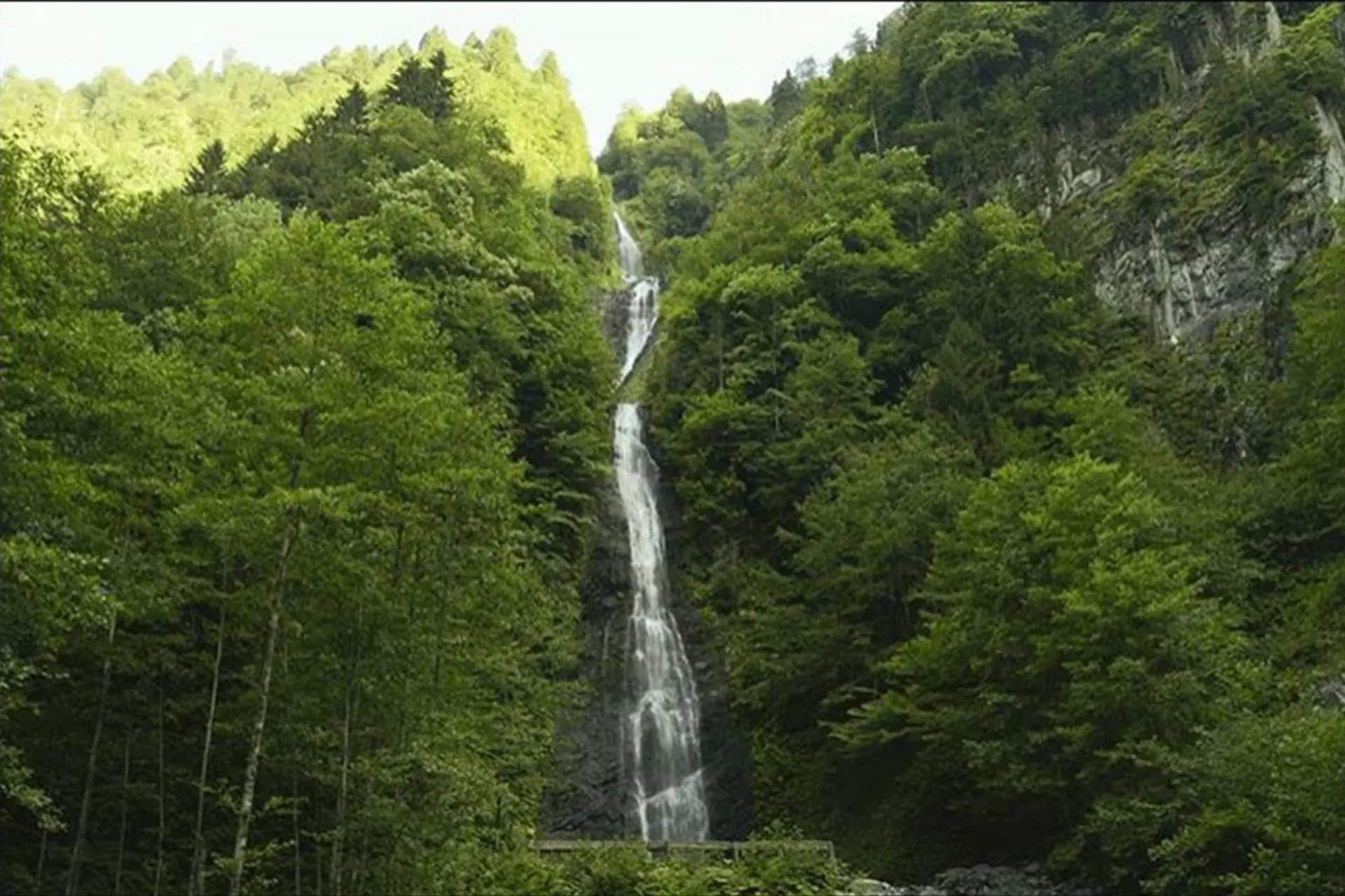 Karadeniz & Batum Turu
