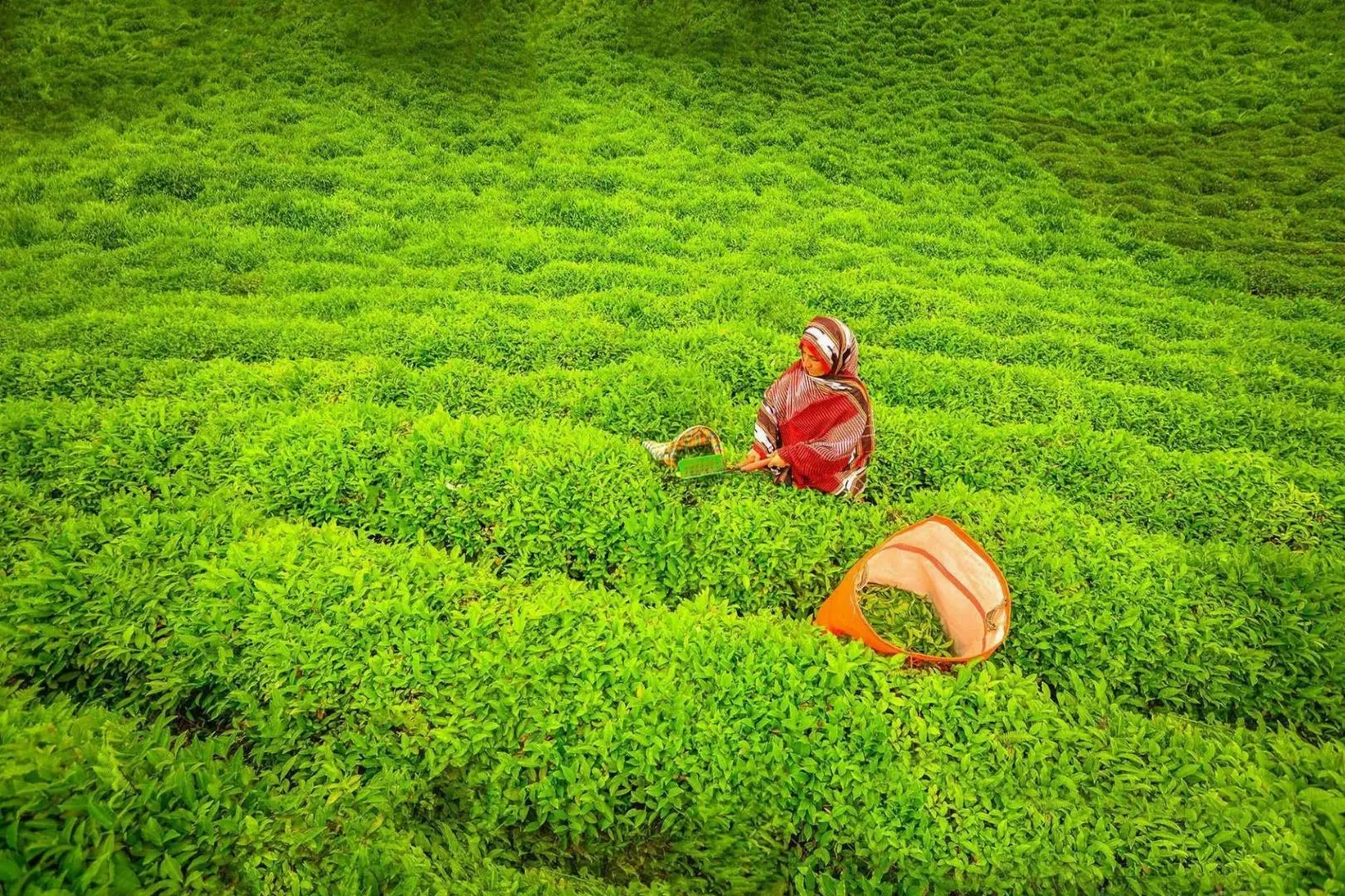 Karadeniz & Batum Turu