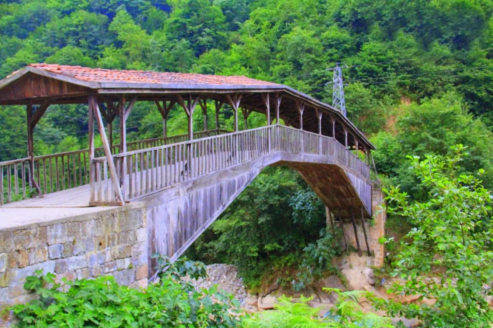 Karadeniz & Batum Turu
