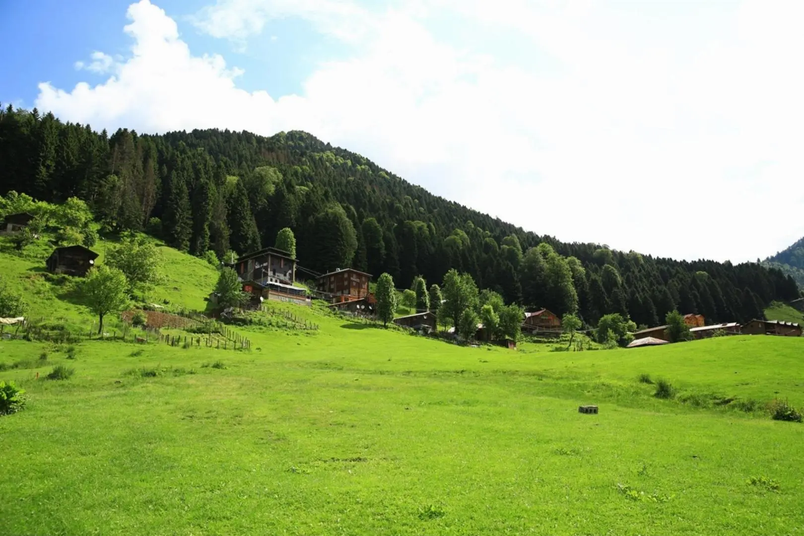 Karadeniz & Batum Turu