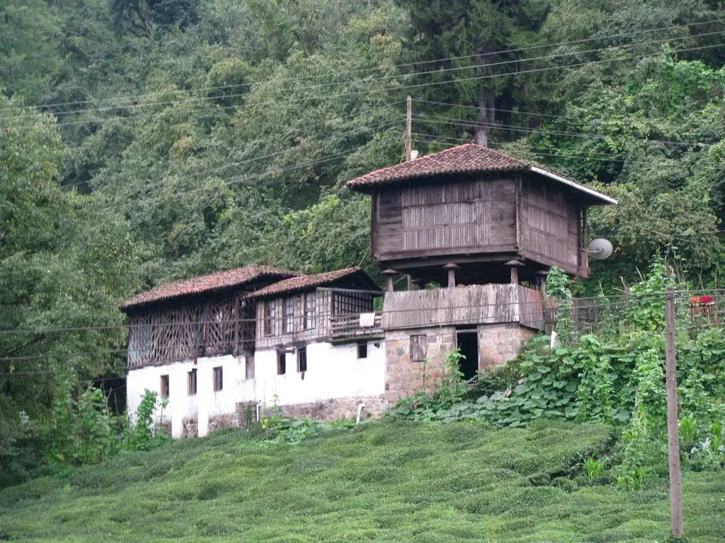 Karadeniz & Batum Turu