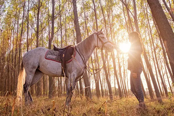 Safranbolu - Kastamonu - Daday Turu