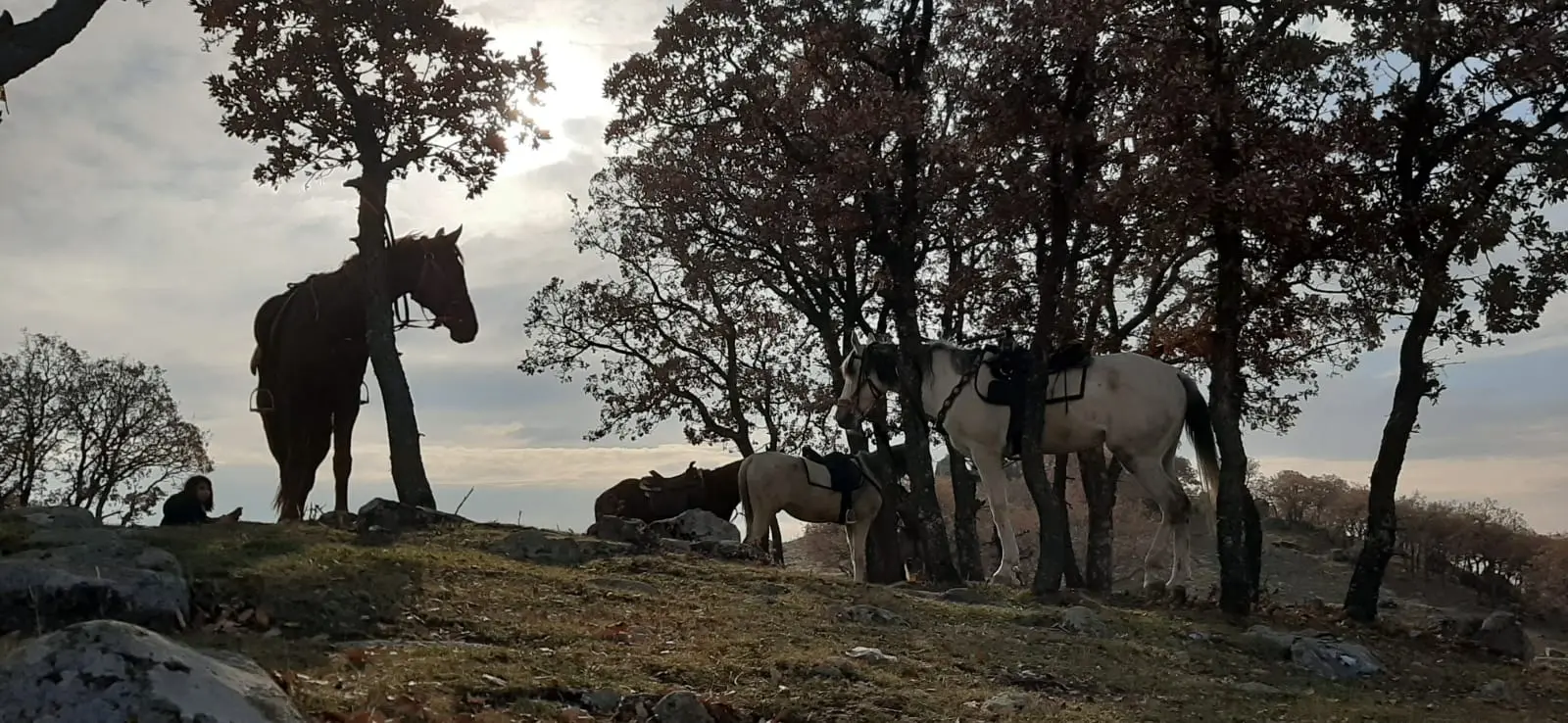 Safranbolu - Kastamonu - Daday Turu