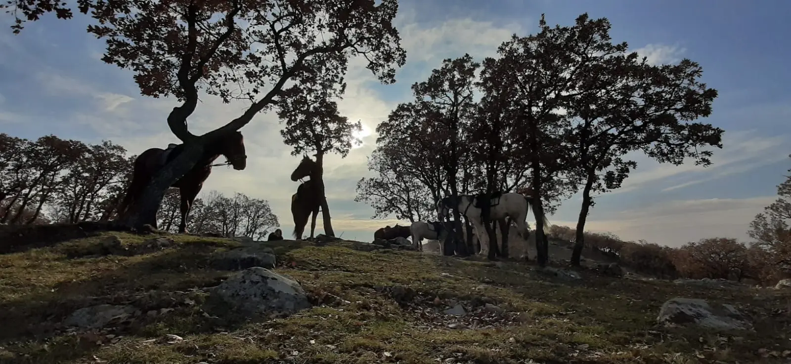 Safranbolu - Kastamonu - Daday Turu