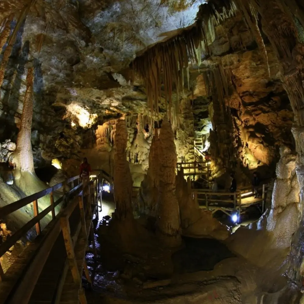 Doğu Karadeniz & Batum Turu