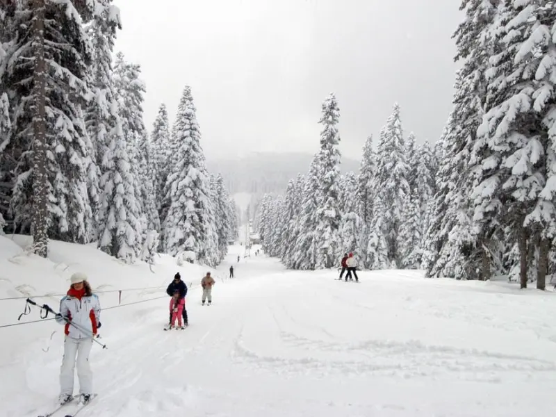 Yılbaşı Ilgaz Turu ( Ferko Ilgaz Mountain Hotel & Resort )