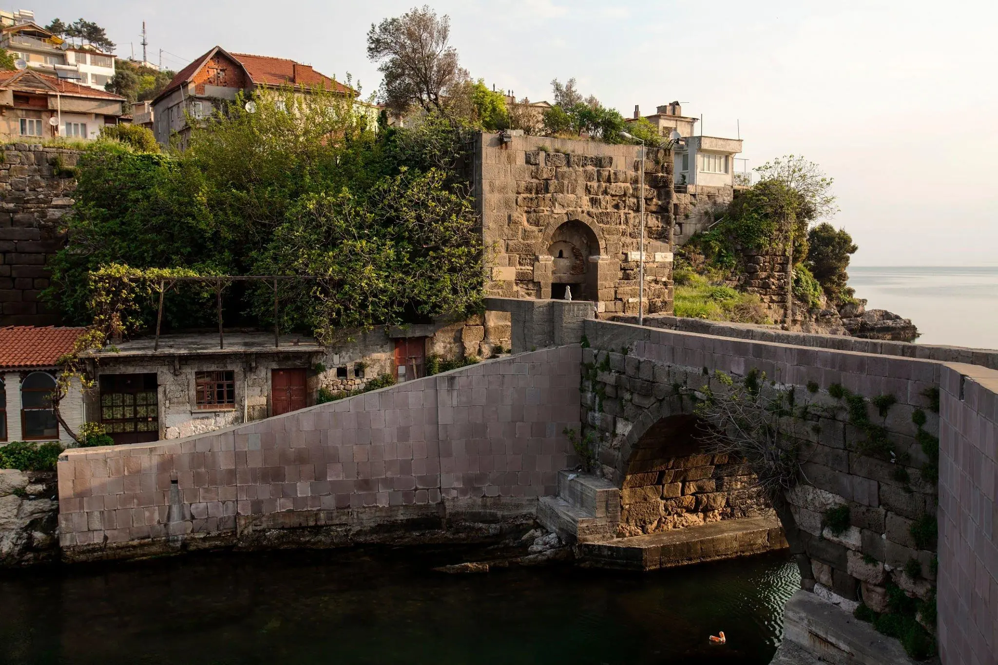 Amasra - Lav Sütunları Turu