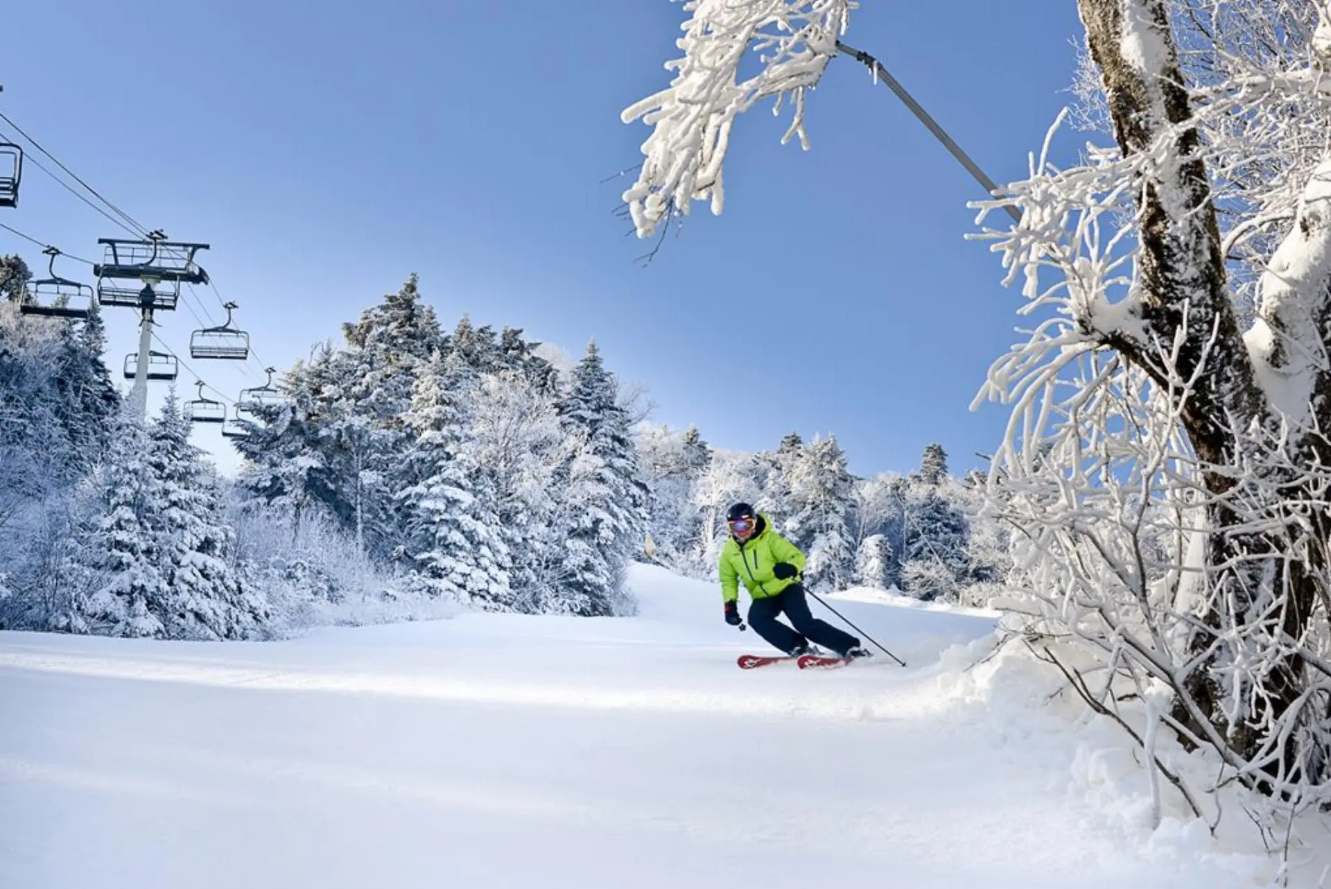 Ilgaz & Termal Turu