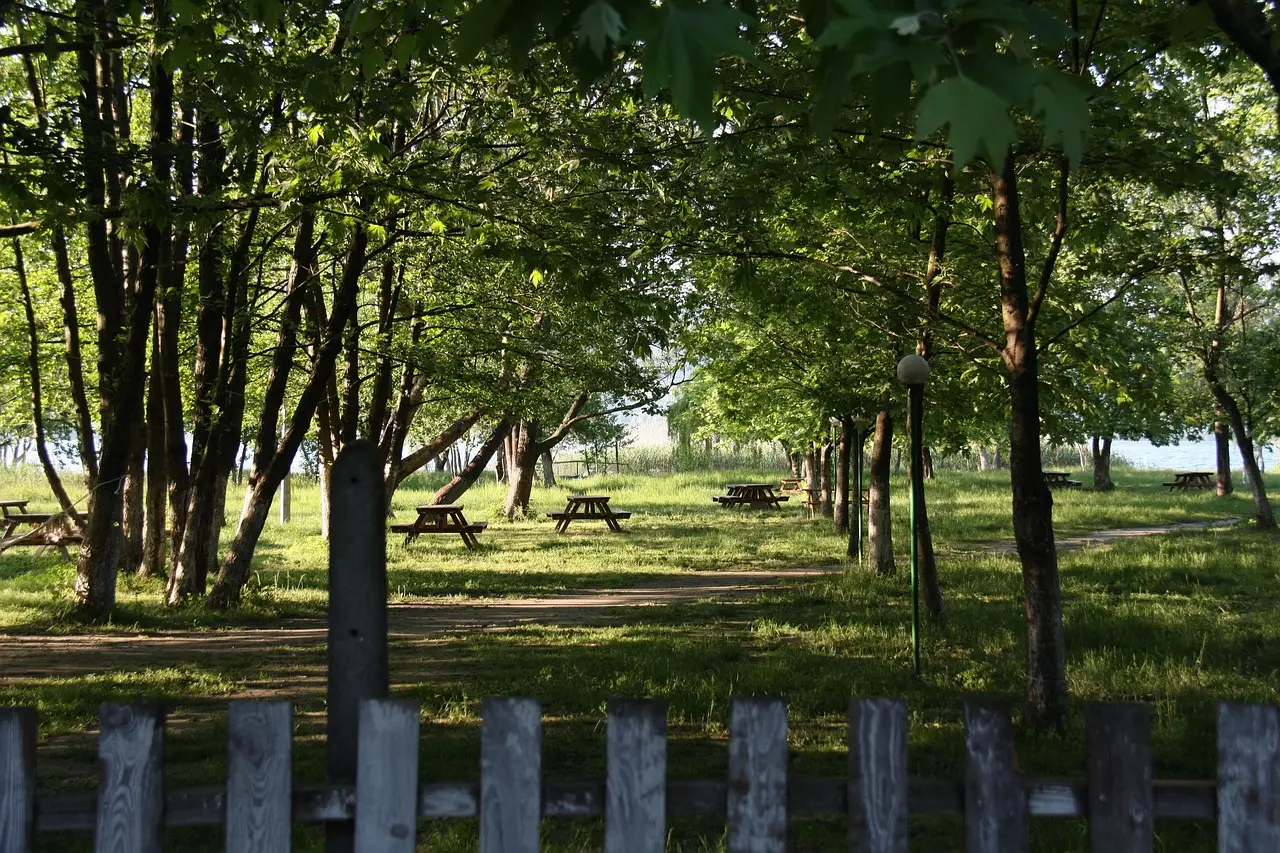 Maşukiye - Sapanca - Kartepe - Ormanya Turu