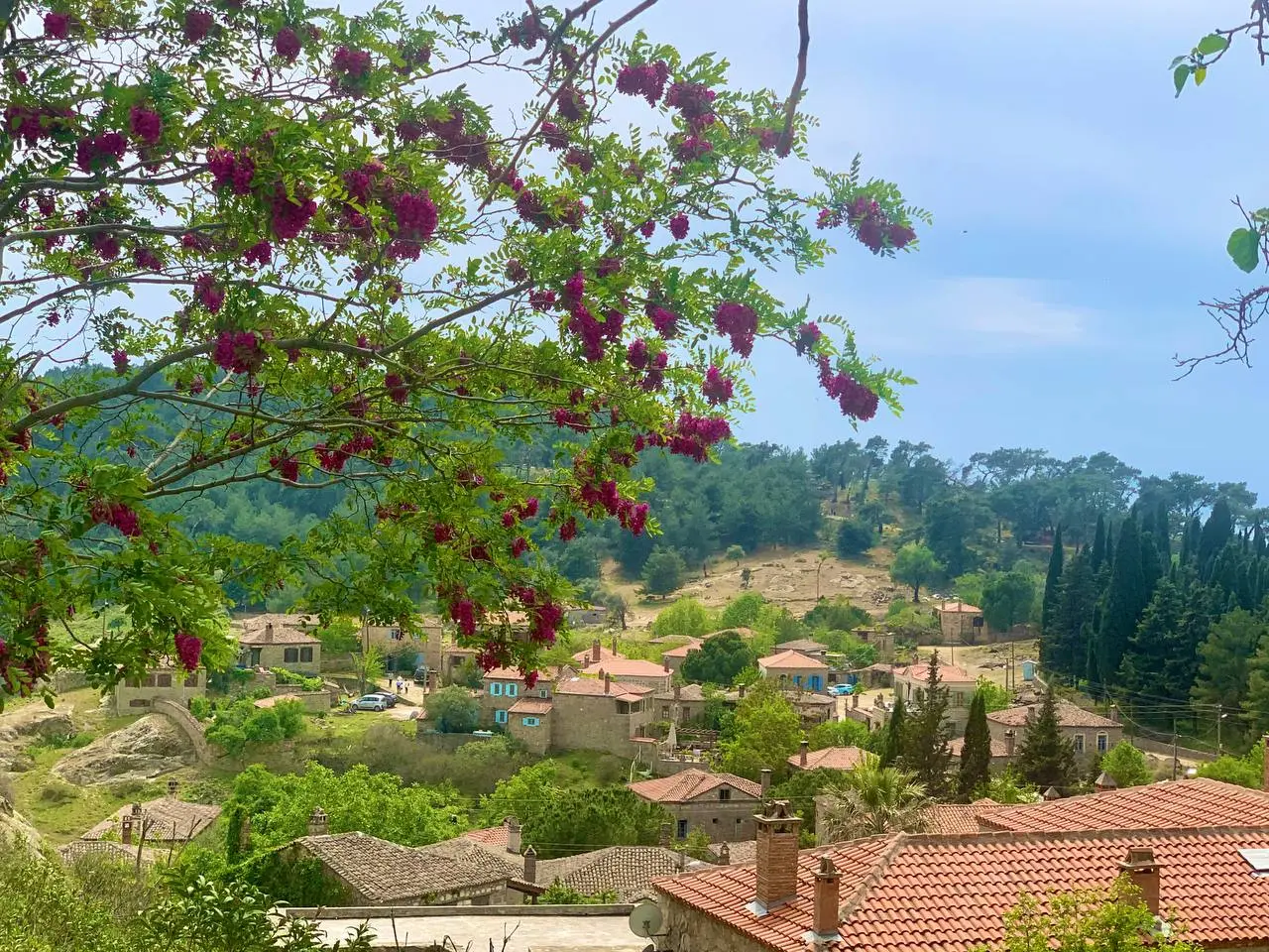 Çanakkale - Bozcaada - Assos - Truva - Kazdağları Turu