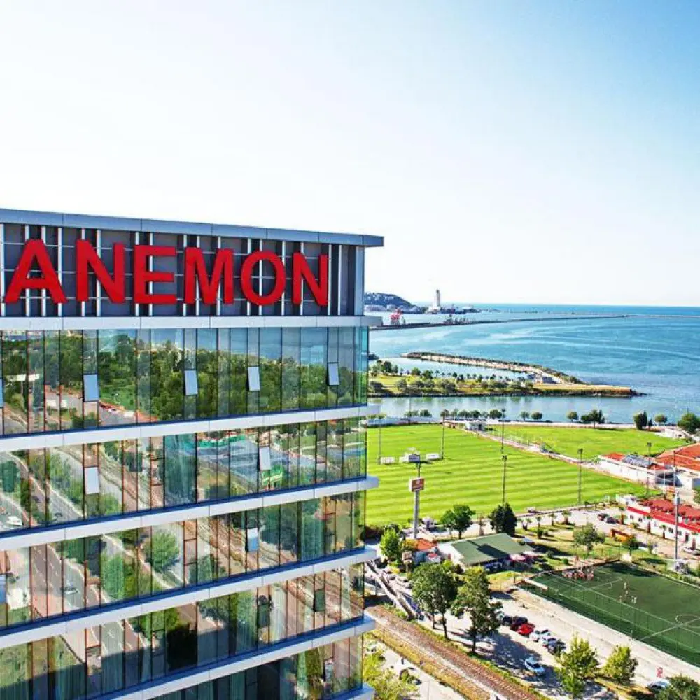Anemon Samsun