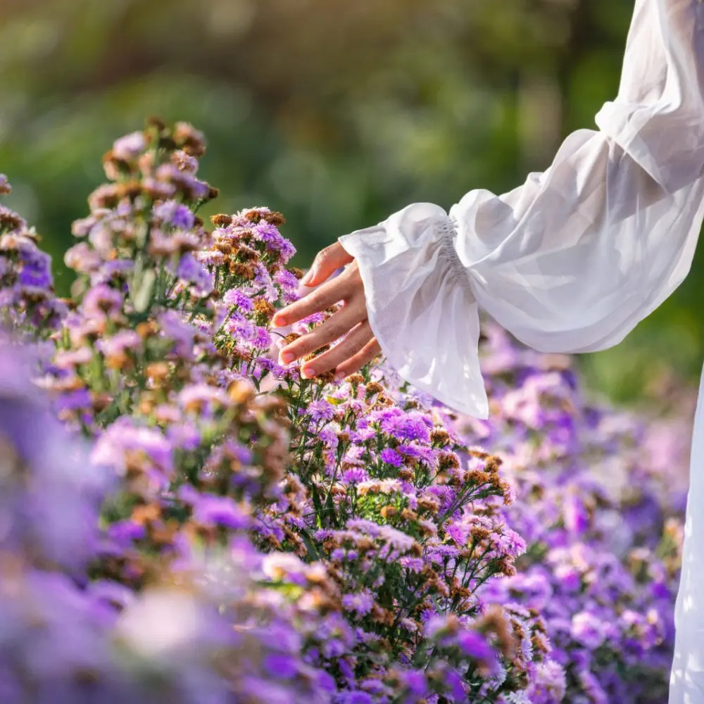Isparta Lavanta Bahçeleri - Yazılı Kanyon ve Kovada Gölü Turu
